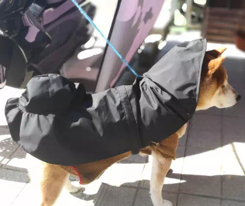 オーダーメイドのプレゼントやギフトにオリジナル日本製犬用レインコート